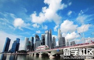解析自費出國留學中介資質 如何辨別正規(guī)與專業(yè)服務機構