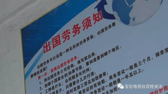 出國勞務與留學的雙重陷阱 為何夢想尚未啟航，財富已先行蒸發