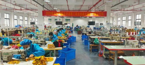 大化成功舉辦第二屆防護(hù)制品技能大賽 聚焦軟件開(kāi)發(fā)與技術(shù)轉(zhuǎn)讓創(chuàng)新